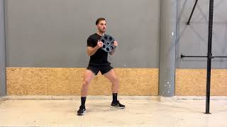 Plate Sumo Squat
