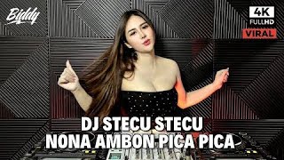 Download lagu DJ BIDDY |DJ STECU STECU STELAN CUEK BARU MALU X PICA-PICA REMIX mp3