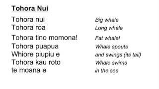 Tohoroa Nui Tohoroa Nui