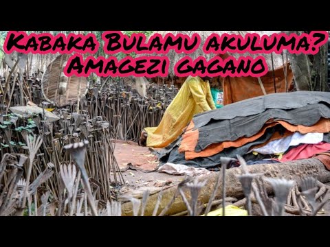 Kabaka bulamu akuluma amagezi gaagano - Omulangira Jjuuko Munabuddu