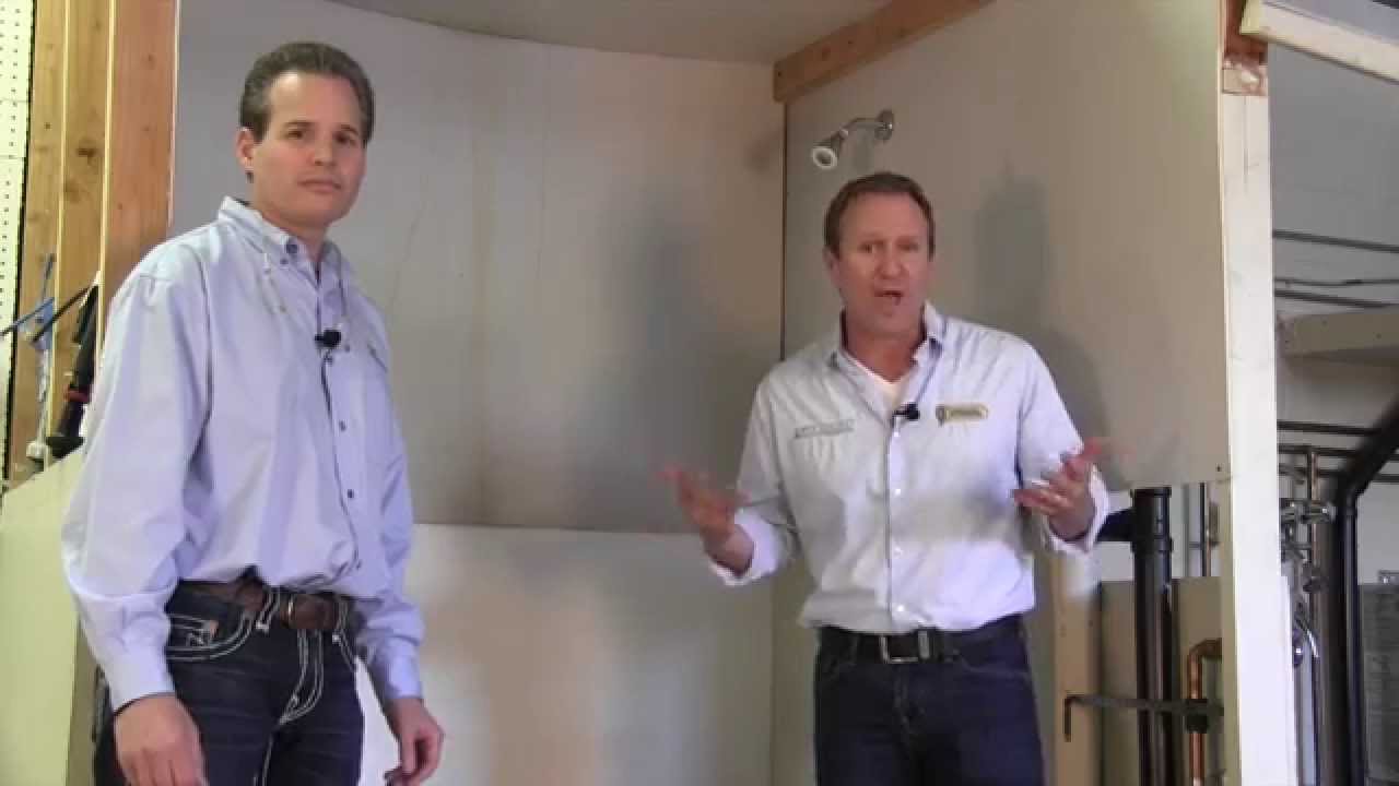 Los Angeles Mold Removal: Mold vs Mildew