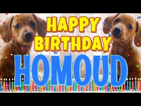 Happy Birthday Homoud! ( Funny Talking Dogs ) What Is Free On My Birthday