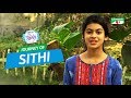 Journey of Sithi | ACI XTRA FUN CAKE CHANNEL i GAANER RAJA | Channel i TV