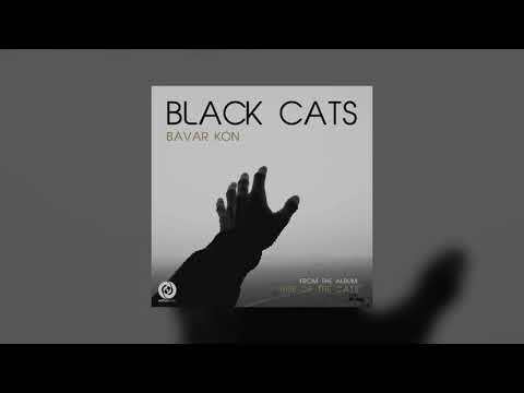 Black Cats - Bavar Kon (Клипхои Эрони 2019)