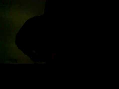 comment prendre alli