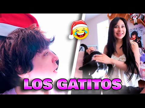 SERA RETURNS to PERU 💥 PLAYING WITH MATT'S CATS 💥