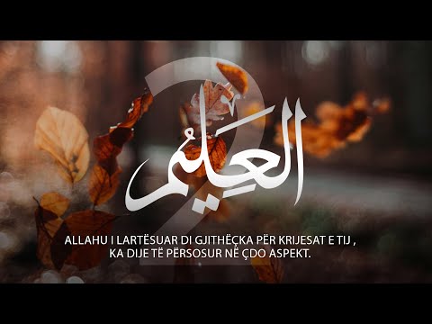 28. Emri El-Alim (Pjesa II) - Hoxhë Fitim Gërguri | TA NJOHIM ALLAHUN