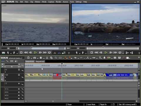 060.  In-Point and Position Marker.