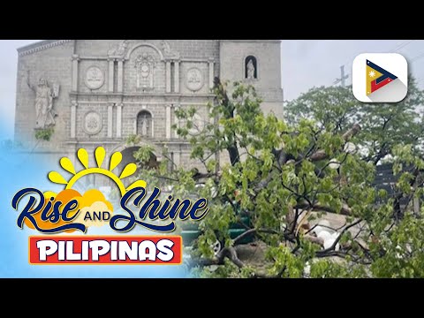 Makasaysayang puno ng acacia sa harap ng Minor Basilica of St. John the Baptist sa Taytay, Rizal…