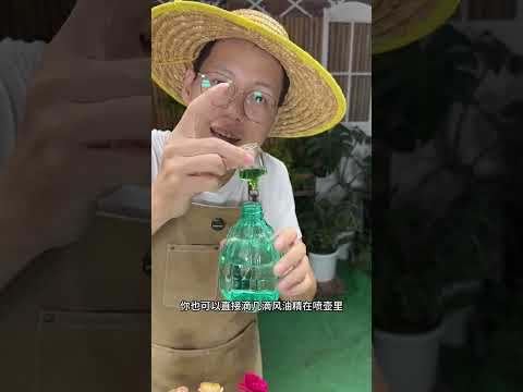 養花最好的除蟲方法