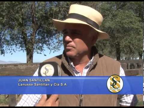 JUAN SANTILLAN - JUAN PABLO CARRIQUE - Lanusse Santillan y Cia - S.A. - 26/02/2014