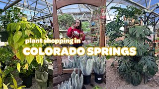 Plant Shopping in Colorado Springs ❄️🪴