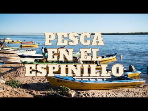 Pesca en el espinillo 🎣 (Granadero Baigorria) + Fiesta en la isla (Rosario)