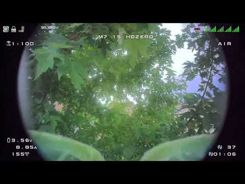 Moblite 7, HDZero goggles - tree wars, before it gets too hot!