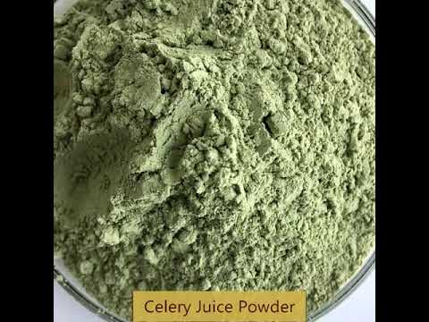 Celery Extract Powder