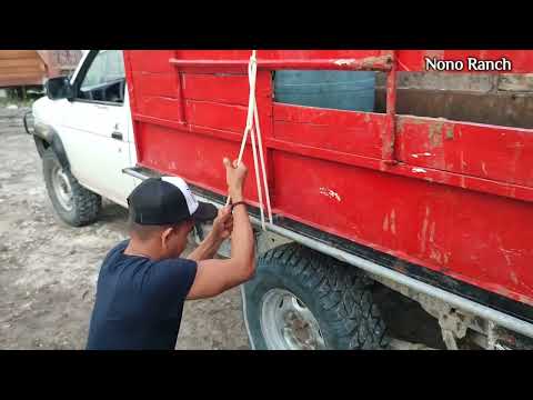 Nudo de Trailero o Camionero 👌 @NONORANCH 👈