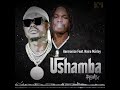 Harmonize ft Naira Marley Ushamba remix