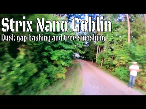 nano-goblin-dusk-flight