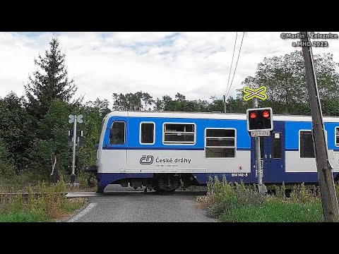 železniční přejezd Mladá Boleslav-Čejetičky - P2807 / 14.08.2023 / Czech railroad crossing