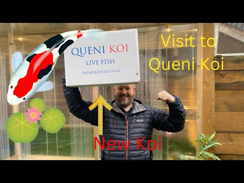 Queni koi Visit 2023