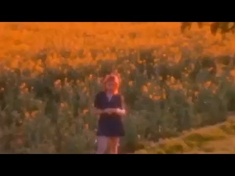 littlexmind, Coni - Noches