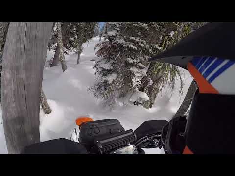 McCall 2020 - Aro 3 - The Tractor