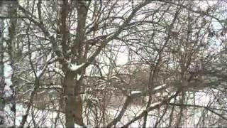 Cover art for HappinessIsOnlyRealWhenShared