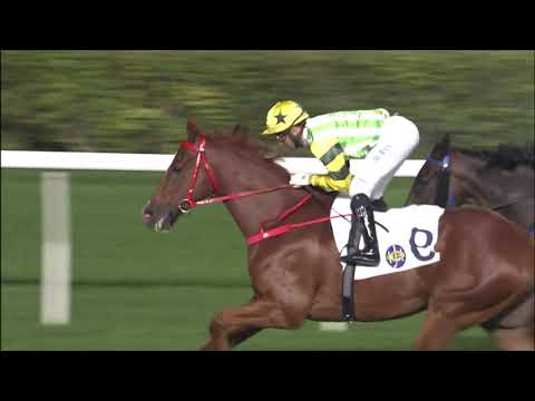 28/11/2021 (214) Blaze Warrior - J Moreira