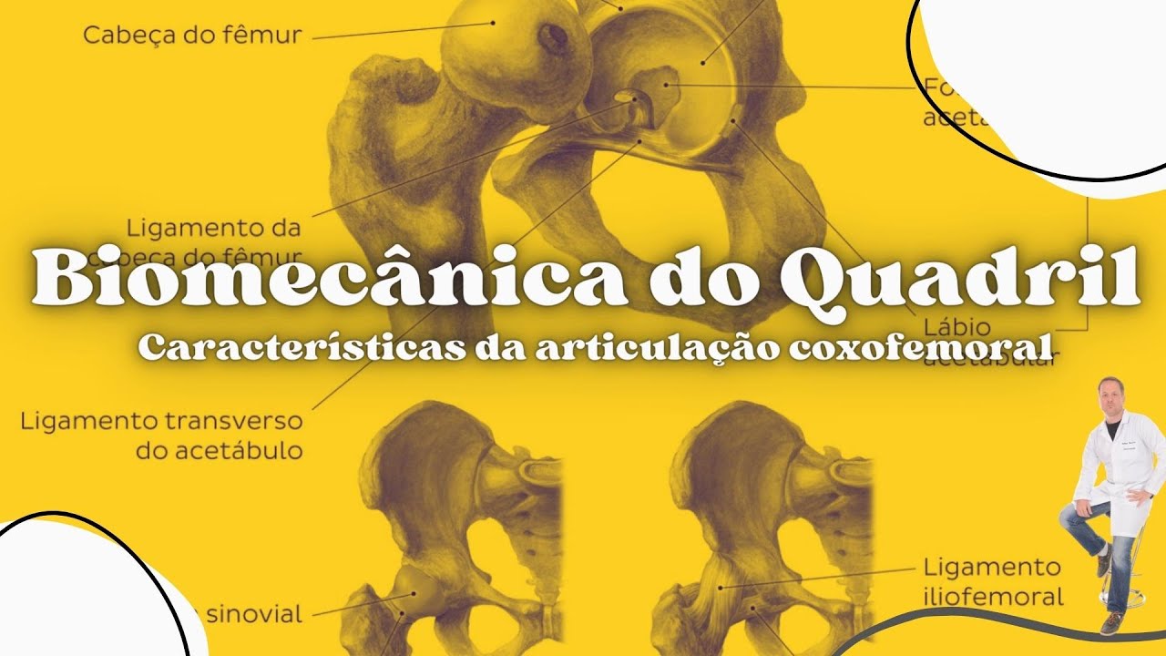 Biomecânica do Quadril: Características da Art. Coxofemoral e cabeça do fêmur | Prof. Felipe Barros