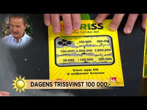 Triss: Franz skrapar lott - Nyhetsmorgon (TV4)