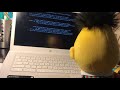 Ernie And Bert Shorts Bert Watches Macrovision Logo