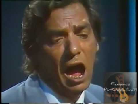 Antonio Nuñez el Chocolate por Fandangos con la guitarra de Quique Paredes