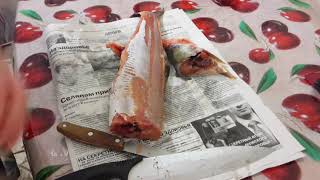 Рыба голец польза и вред где водится