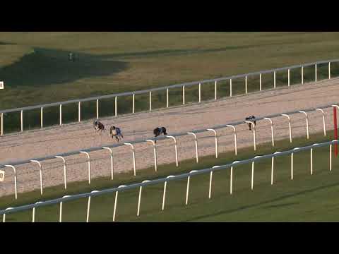 2019.06.28. agár futam