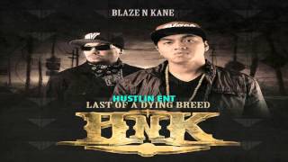 BLAZE N KANE ft  Quest -  Every Day is a Struggle