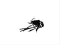 Cloverfield Pivot