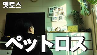 ペットロスの喪失感と、そこからの回復の過程