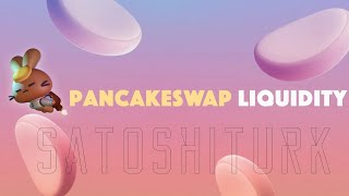 Token Nasıl Oluşturulur,  BSC ve Ethereum, PancakeSwap Likidite Ekleme, Kontrat 