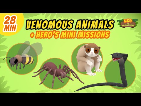 Venomous Animals - Junior Rangers and Hero's Animals Adventure | Leo the Wildlife Ranger