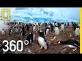 360° Antarctica - Unexpected Snow | National Geographic