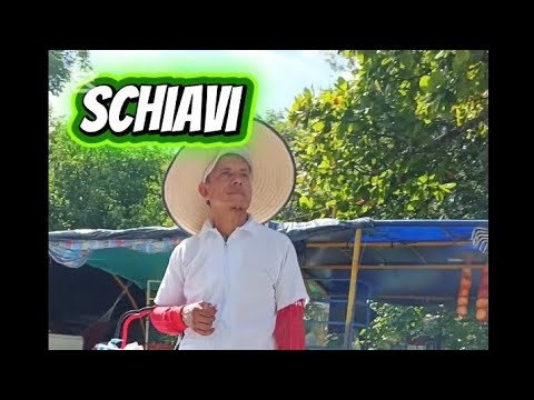 Una historia real de la plaza de Hobo | Sebastián en HOBO