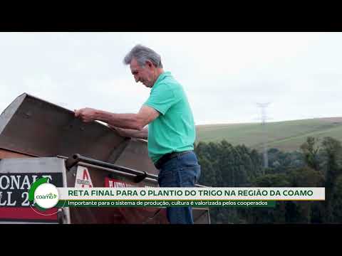 Coamo TV: Reta final para o plantio de trigo na região da Coamo
