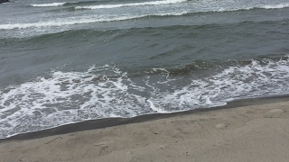 wsw