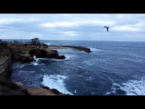A Beautiful Evening at La Jolla Cove! | Calming & Relaxing