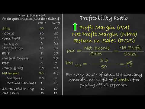 Profitability Ratio - Profit Margin