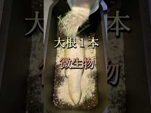 堆肥が分解しないのはなぜですか? 5つの原因とその解決策を探る  庭園