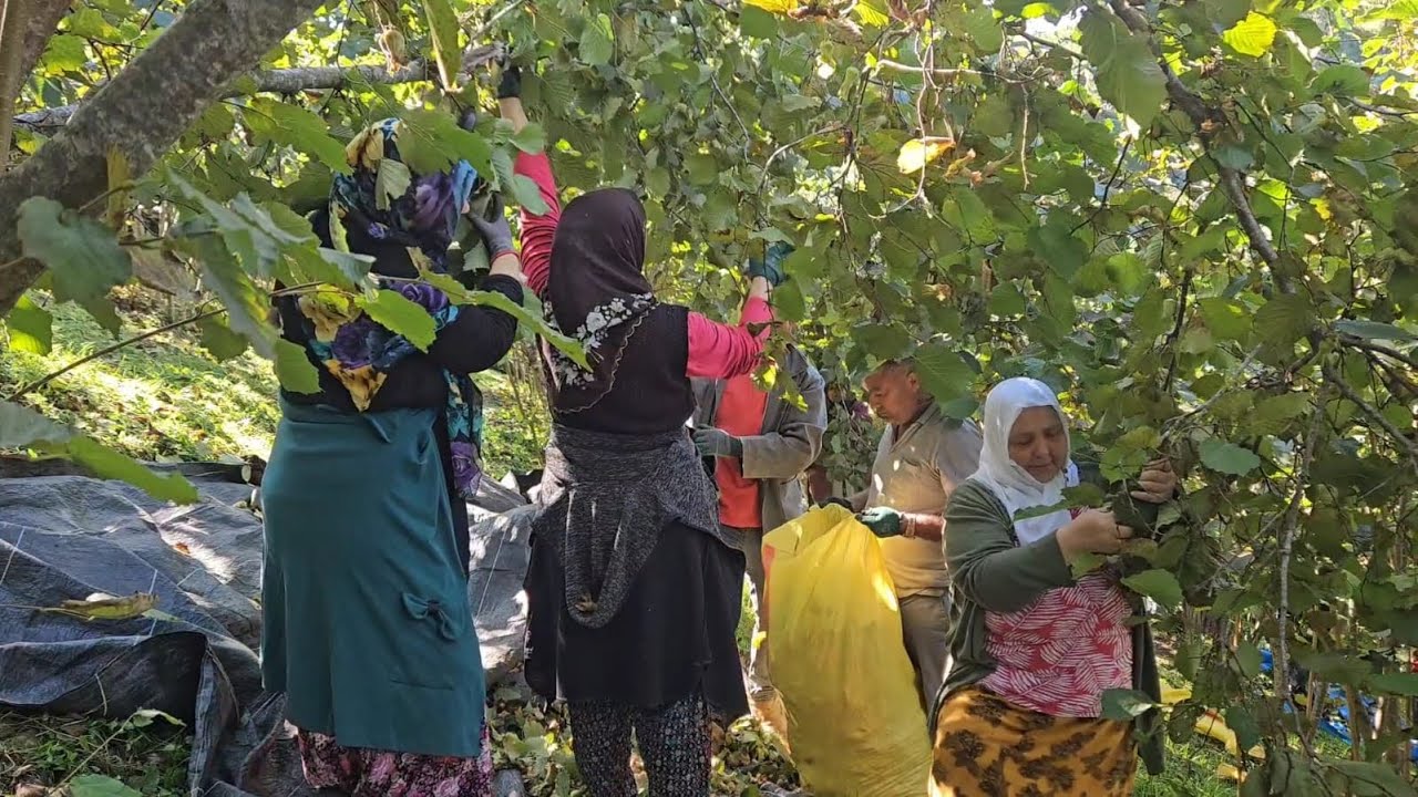 ‼️MACERALI BİR GÜN 😅🌿‼️