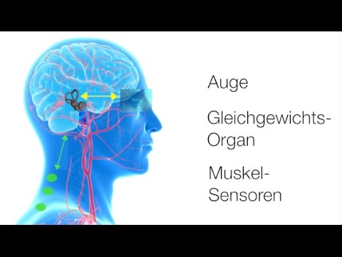 Fastenkuren für Diabetes Einige Früchte und Gemüse gegessen Diabetiker