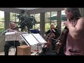 Ode To Joy With A Twist Beethoven