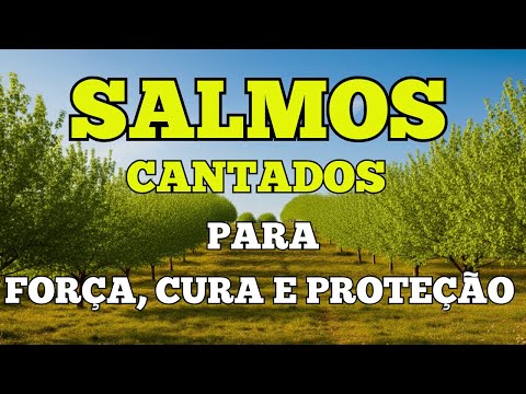 O Segredo para Encontrar Força, Cura e Proteção nas Letras Edificantes do Salmo 18